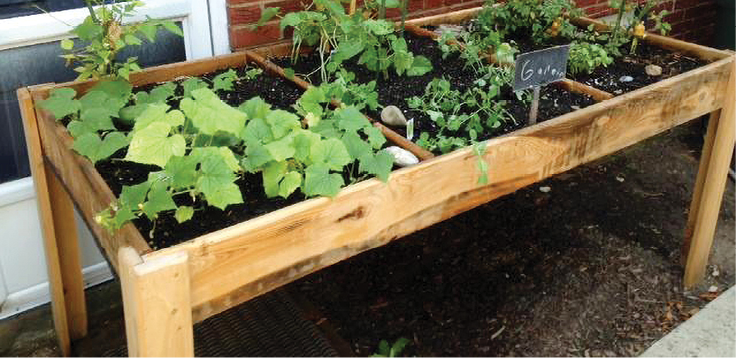 Salad table with plants inside.