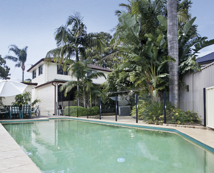 Various heights of palm trees providing shade for a large pool.