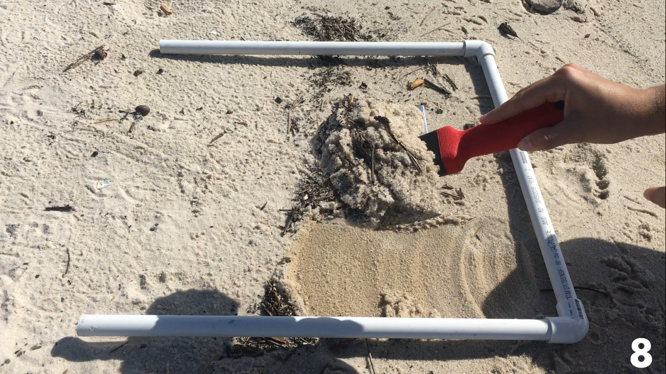 A person scoops sand from the quadrat.