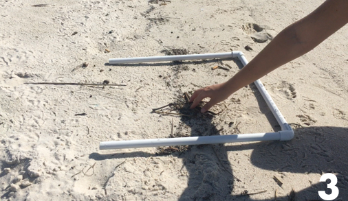 Photo 3: A researcher is reaching into the wrack line to collect. naturally occuring debris.