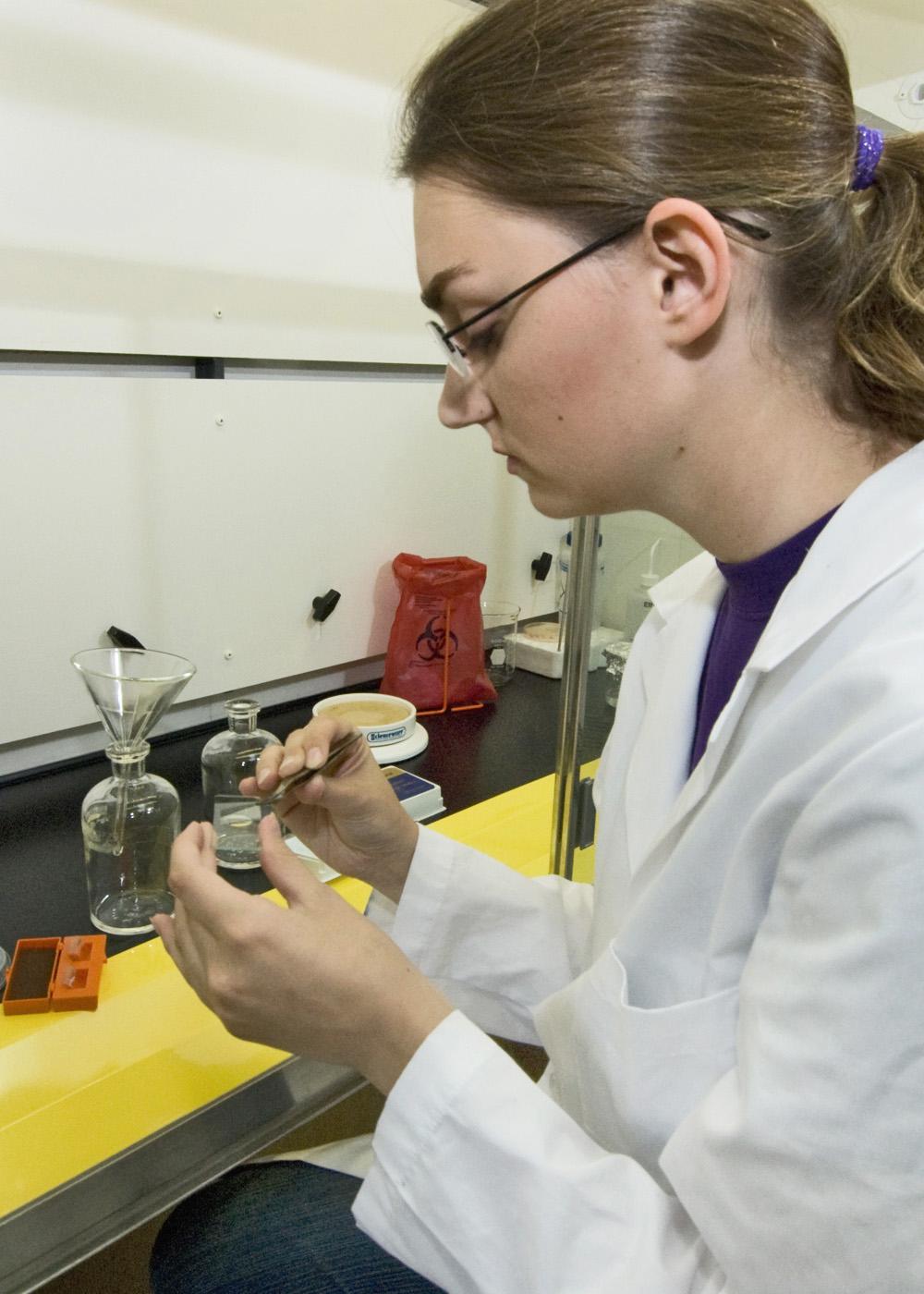 MSU biochemistry major Erika Knott prepares a slide for examination under the microscope. Knott spent her summer studying products that occur in the environment as TNT breaks down. (Photo by Marco Nicovich)