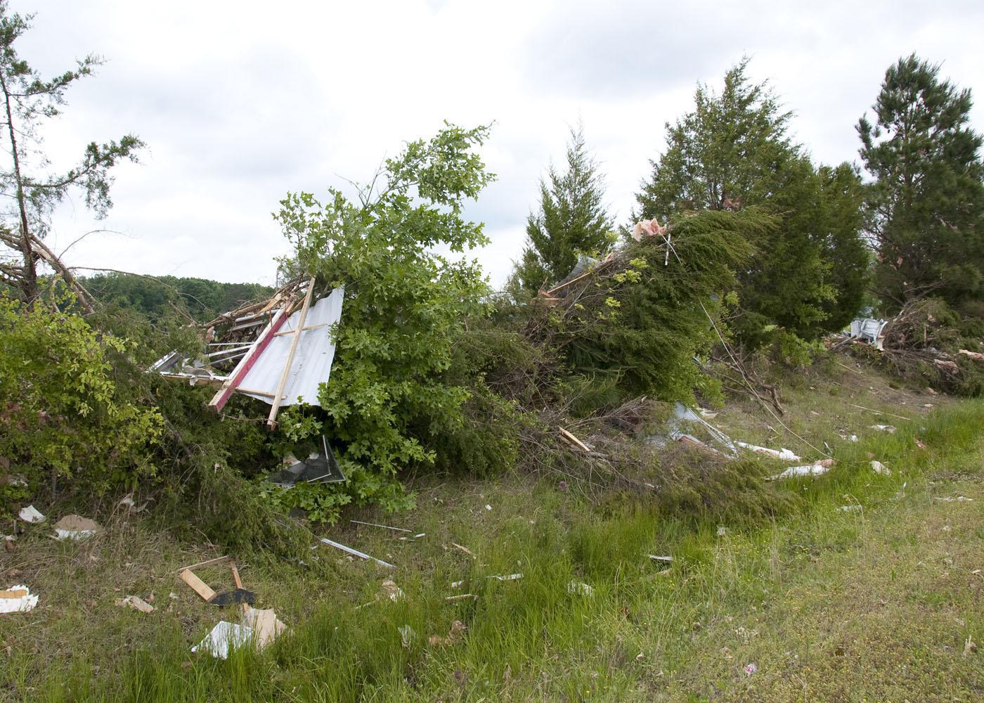 One of several tornadoes that ravaged Mississippi on April 24 knocked down trees along state Highway 389 in Oktibbeha County. Horticulturists with the Mississippi State University Extension Service advise people to use caution in removing trees and debris. (Photo by Scott Corey)