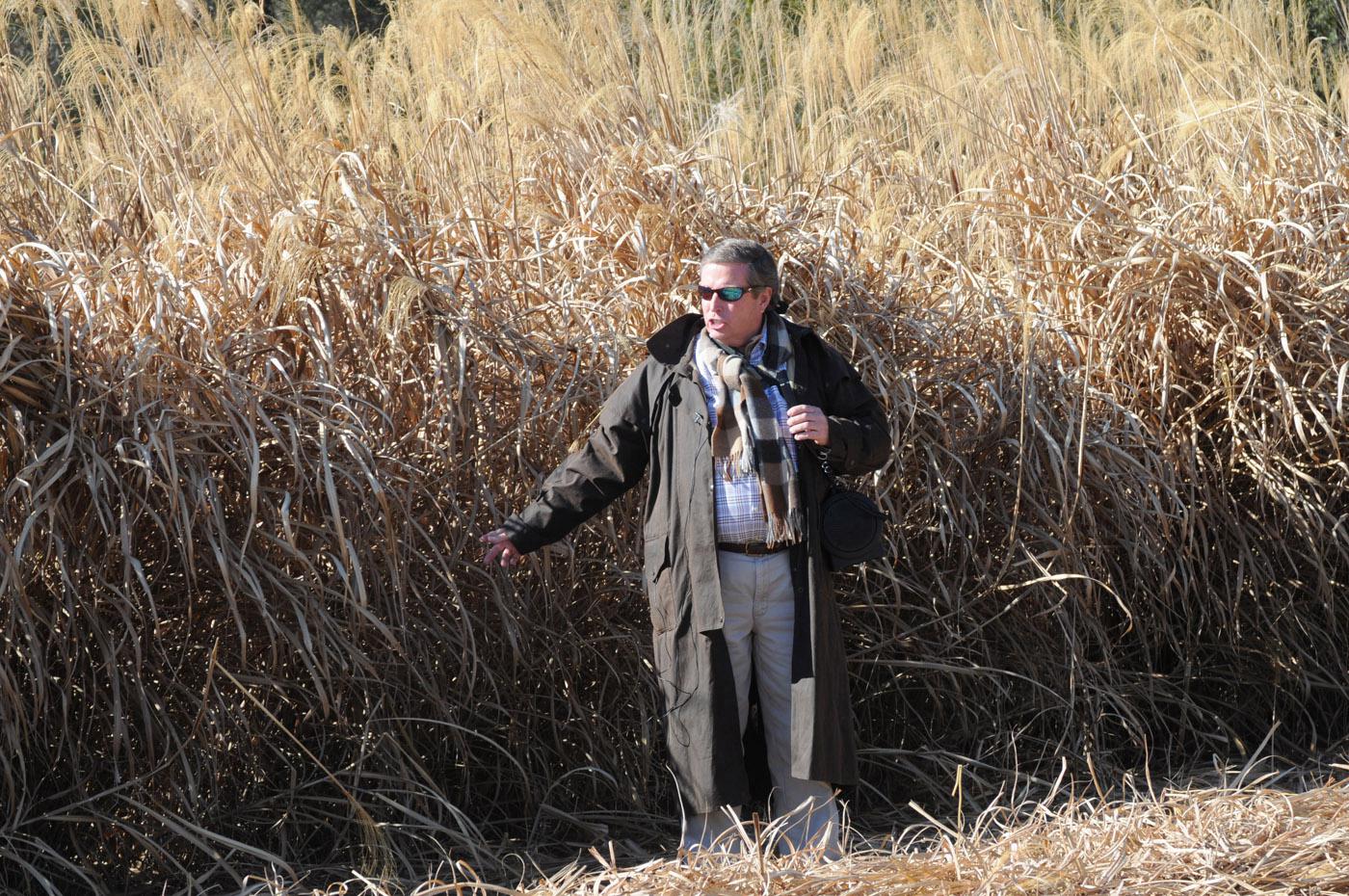 Freedom Giant Miscanthus was developed at Mississippi State University and is licensed exclusively to Repreve Renewables, a joint venture between sod entrepreneur Phillip Jennings (pictured) and publicly traded textile company UNIFI Manufacturing, Inc. (Photo by Kat Lawrence)