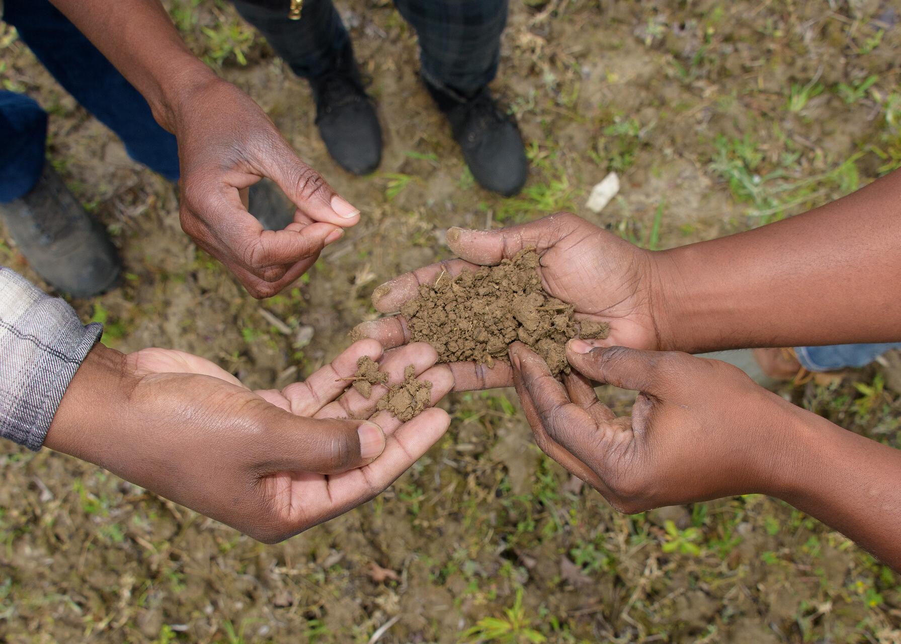 Several human hands hold dirt