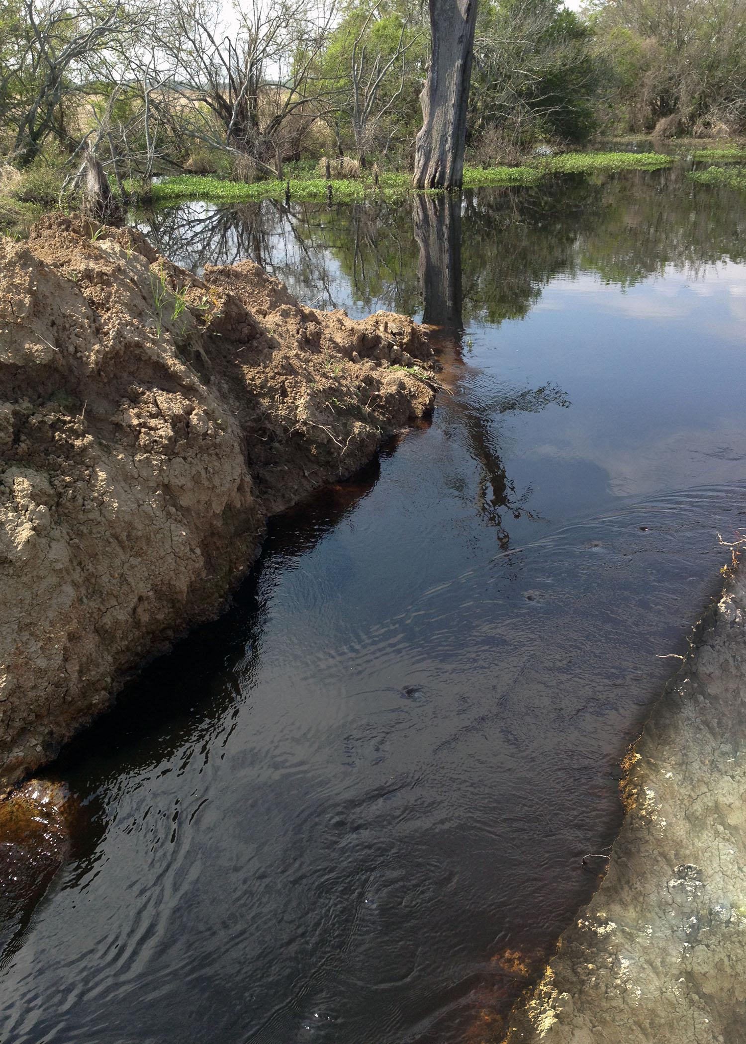 Water resources are connected, like this stream entering an oxbow in the Mississippi Delta. Chemicals that enter in one area have the potential to spread far and wide, impacting water quality and the health of aquatic organisms. (Photo by the MSU Water Quality Laboratory)