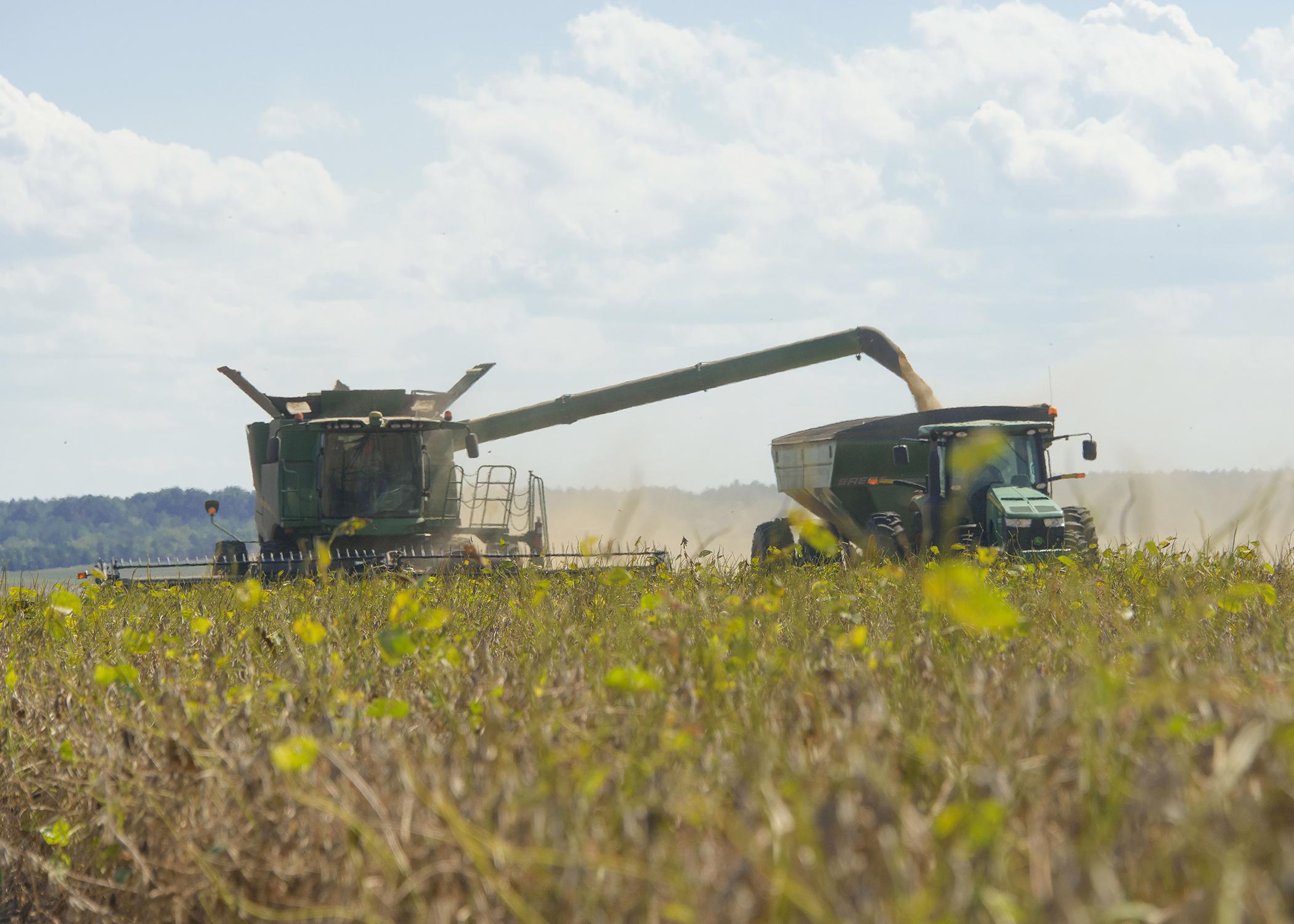 A combine moves through a field, pouring harvested grain into a tractor driving alongside.