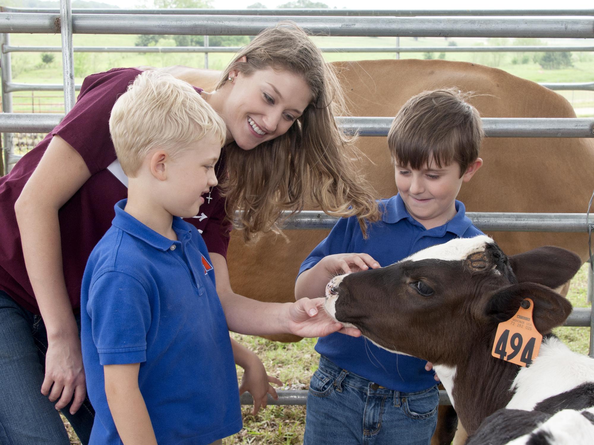 Carley Wigley, a senior at Mississippi State University from Petal, Mississippi, introduces Luke Iglay and Sam Eifling to a calf during “Afternoon on the Farm,” on April 29, 2016. The outreach program is part of the MSU Department of Animal and Dairy Science capstone course and teaches visiting students the fundamentals of livestock agriculture. (Photo by MSU Extension Service/Kat Lawrence)