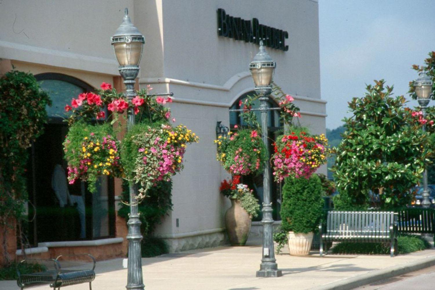 Gardeners can buy hanging baskets already blooming or make their own.