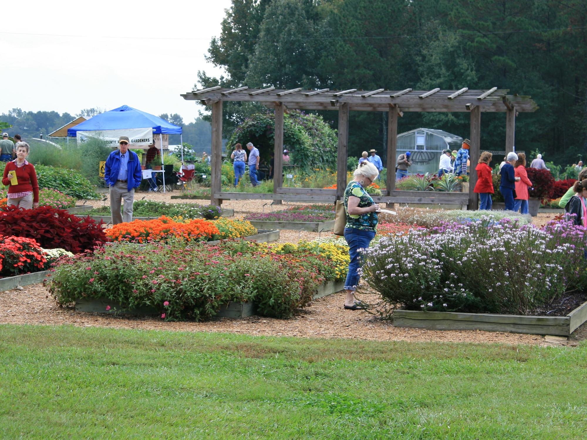 The annual Fall Flower and Garden Fest in Crystal Springs is one of the premier gardening events in the Southeast. Last year, about 5,000 people attended the two-day event. (Photo by MSU Extension Service/Gary Bachman)