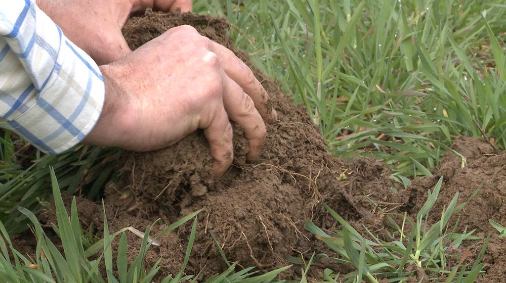 NRCS staff member assessing soil.