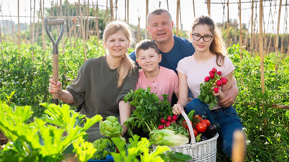 Family in small farm garden