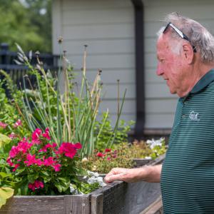 A man, standing beside a wooden table filled with plants, looks at them.