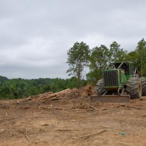 A cleared logging site.