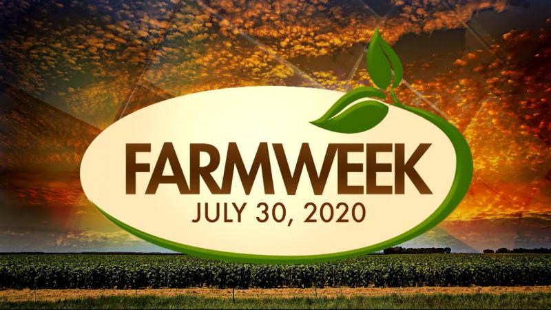 Farmweek | Entire Show | July 30, 2020