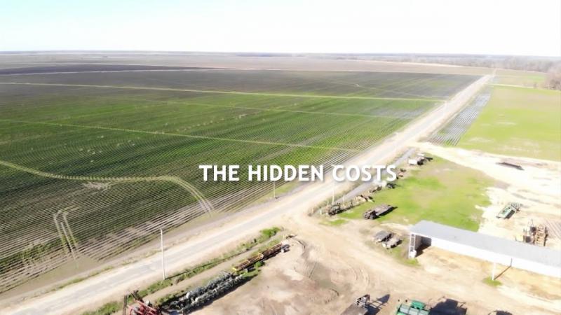 Voices From The Flood 4 | The Hidden Costs