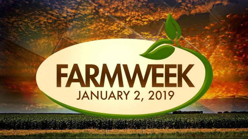 Farmweek | Entire Show | January 2, 2020