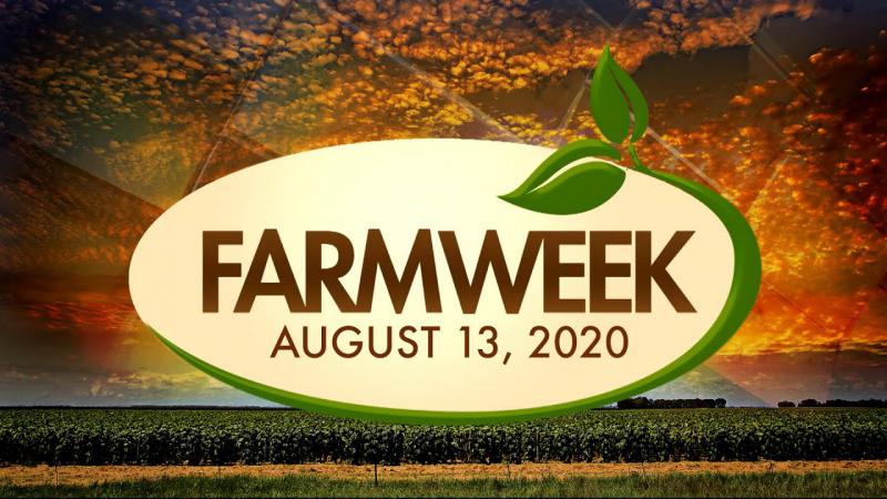 Farmweek | Entire Show | August 13, 2020