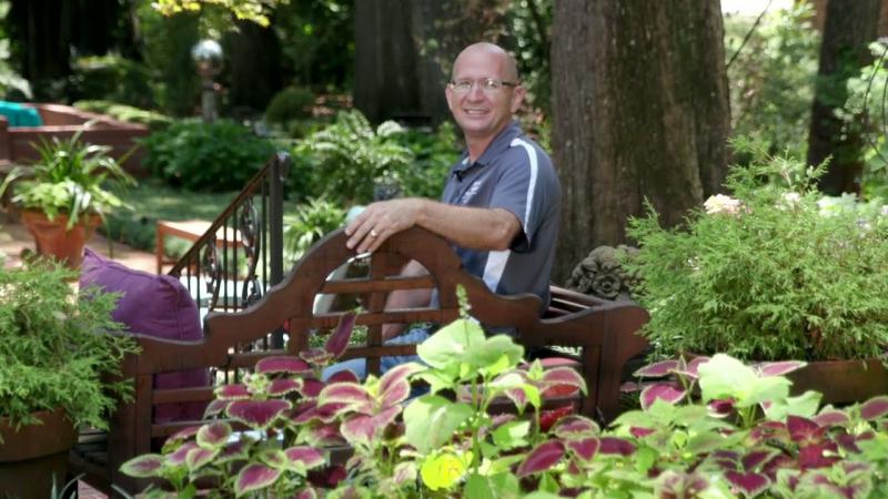 Shade Loving Garden Plants