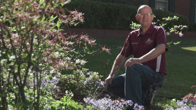 Spring Blooming Native Plants, May 2024