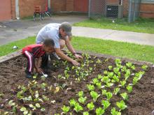 Mississippi State University senior landscape contracting student David Russell from Bogue Chitto works with a preschooler in Emerson Family School's garden. (Photo by Brian Trader/MSU Department of Plant and Soil Sciences).