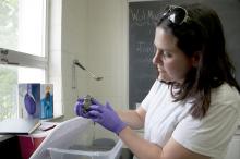 Nat Calatayud, a post-doctoral fellow shown here holding Diane, is researching how to get the endangered Boreal toad to breed in captivity. (Photo by MSU Ag Communications/ Kat Lawrence)