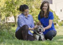 From left, Dr. Maria Perez Hernandez, a veterinary resident at the Mississippi State University College of Veterinary Medicine, and Lauren Dabney, a third-year doctor of veterinary medicine student, spent months helping Dirty learn to walk again. (Photo by MSU College of Veterinary Medicine/Tom Thompson)