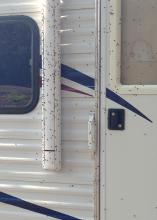 Kudzu bugs have congregated on this travel trailer parked near a kudzu infestation. Seal all cracks and entry points to prevent kudzu bugs from entering structures. (Submitted Photo/MSU Extension Service)