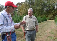 Christmas tree producer Don Kazery Jr., left, discusses agricultural practices on his Hinds County farm with Stephen Dicke, a forestry professor with the Mississippi State University Extension Service, on Nov. 6, 2014. Harsh weather conditions in 2014 and several years of high demand reduced the number of trees available in heavily populated counties. (Photo by MSU Ag Communications/Susan Collins-Smith)