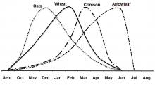 Planting several different forages in a cool-season food plot provides a variety of plants to attract diverse wildlife, as shown in this table depicting the peak production times of a mixed-forage food plot containing four different cool-season annuals. (Table by MSU Department of Wildlife, Fisheries and Aquaculture)