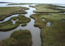 Salt marshes and water