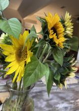 Large, yellow flowers fill a vase.