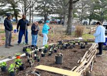 A small group of people plant in a landscape.