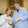 Mississippi State University biological sciences student Dollie Welch and her professor Vincent Klink examine bacteria harboring DNA of genes that will be tested for use in engineering soybean cyst nematode resistance. (Photo by Kat Lawrence)