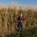 Mississippi State University research scientist Brian Baldwin developed Freedom giant miscanthus, a biofuel feedstock used to create tank-ready gasoline. (Photo by MSU Ag Communications/Scott Corey)