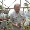 Victor Maddox , a scientist in the Mississippi Agricultural and Forestry Experiment Station, shows the pink flower on a South African plant, the only specimen from the Rhodohypoxidaceae family in his extensive personal collection of plants from all over the world.