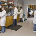 Students and staff at Mississippi State University's College of Veterinary Medicine are the first-ever recipients of an MSU award recognizing laboratories for outstanding attention to safety. From left, Lauren Mangum, Ronald Pringle, Shane Bennett, Lee Mangum and Erle Chenney, make safety a priority while working in the Center for Environmental Health Sciences. (Photo by MSU College of Veterinary Medicine/Tom Thompson)