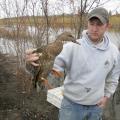 Mississippi State University graduate student Joe Lancaster holds a female mallard duck fitted with a radio frequency transmitter as part of a study tracking mallards in the south Delta. (Submitted Photo)