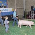 Twins James and Jillian Roberts of Belzoni are joined by their younger brother Joseph as they show their Reserve Champion Chester hog at the Dixie National Sale of Junior Champions in Jackson on Feb. 7, 2013. The twins participate in 4-H, the youth development program of the Mississippi State University Extension Service. (Photo by MSU Ag Communications/Tim McAlavy)