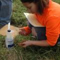 Jasmine Kerezsi, a member of the Harrison County junior 4-H Land Judging team, estimates the texture of topsoil at one of four judging sites during the March 21 state competition, held in Flora. (Photo by MSU Ag Communications/Susan Collins-Smith)