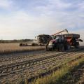 Careful farming practices, such as reduced tillage and restricted traffic patterns, can reduce soil compaction in fields. Compacted soil prevents plant roots from reaching as deep into the soil as needed for peak performance. (Photo by MSU Ag Communications/Scott Corey)