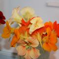 A bouquet of small, orange and yellow flowers.