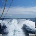 White V-shaped waves trail behind a boat on a sea of blue.