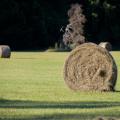 A bale of round hay in a mostly empty field.