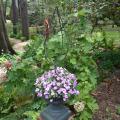 Purple flowers bloom from a container at the center of a garden.