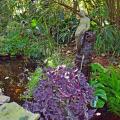 A small, garden pond is surrounded by plants.