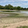 A pond has dried into a fraction of its usual size.