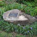 A stone with a plaque is surrounded by flowers in a garden.