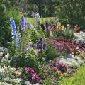 Give gardens the gift of organic matter in the fall to thank them for their beauty and bounty and prepare them for the next growing season. (Photo by MSU Extension Service/Gary Bachman)