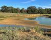 Dried up pond