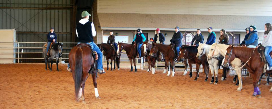 Horses in an arena